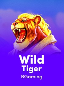 Uma imagem ilustrando um cadeado de seguran&ccedil;a digital com o logo do wg622 Casino, simboliz...