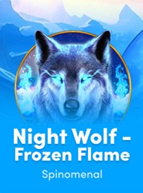 Imagem ilustrativa de um jogador VIP do Cassino Online WG622 desfrutando de benef&iacute;cios exc...